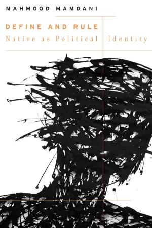 Define and Rule: Native as Political Identity